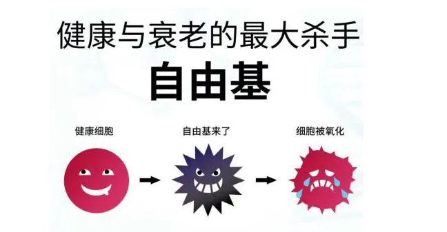 玻尿酸的作用與功效有哪些？